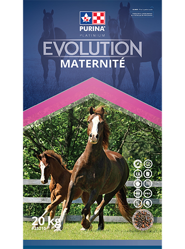 Purina Canada Évolution Maternité