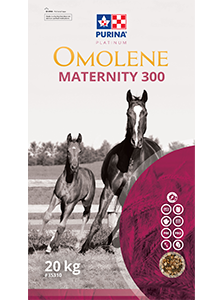 Omolene Maternity 300